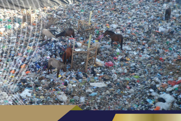 gestión ambiental-02